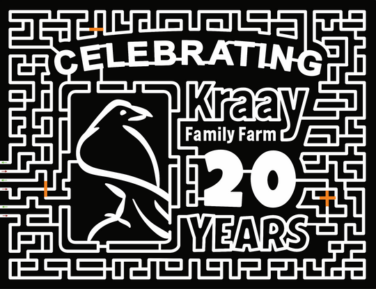 19_AB_Lacombe crow hawk kraay family farm 20 years bird.jpg