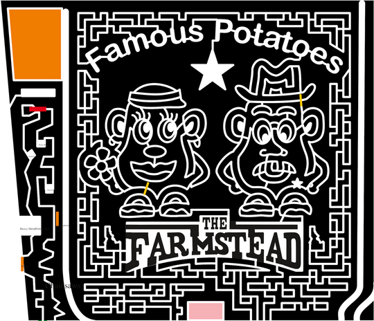 18_ID_Maridian famous potatoes the farmstead mr. and mrs. potato head star flower visor hat