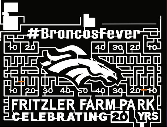 19_CO_LaSalle broncos fever bronco denver football field fritzlet farm park horse stallion.jpg