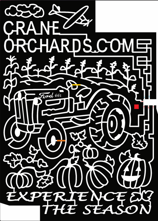 19_MI_Fennville cloud plane airplane planes wheat corn tractor ford 661 pumpkins pumpkin jack-o-lantern leaves leaf.jpg