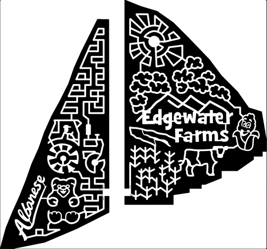 19 MT Townsend albanese sun clouds mountain range edgewater farms cow cat corn ear.jpg