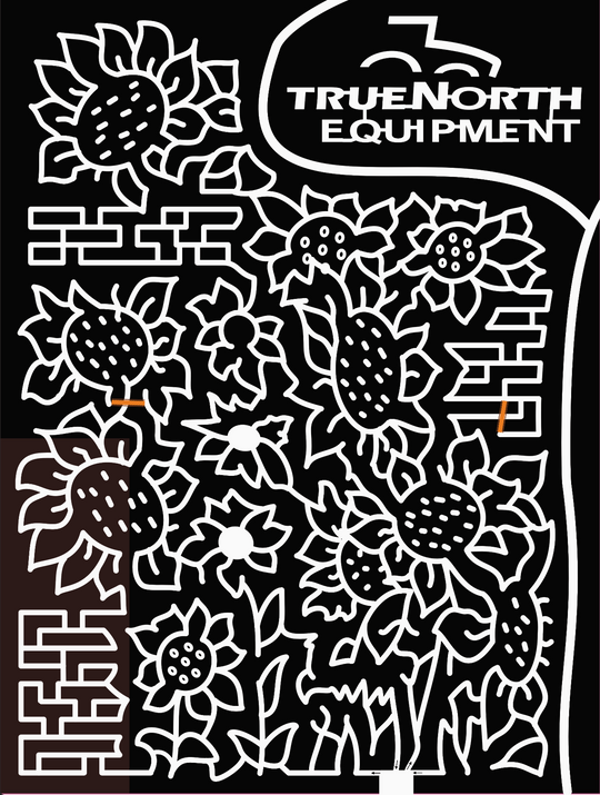 20_MN_EastGrandForks, flower, sunflower, plants.jpg