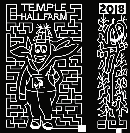 18_VA_Leesburgh temple hall farm 2018 pumpkin corn man cornstalks scarecrow mascot