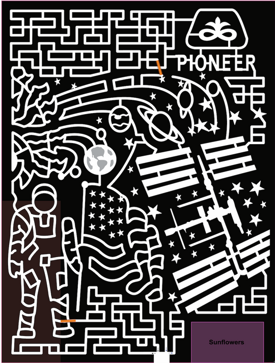 21_pioneer space astronaut planets flag stars earth