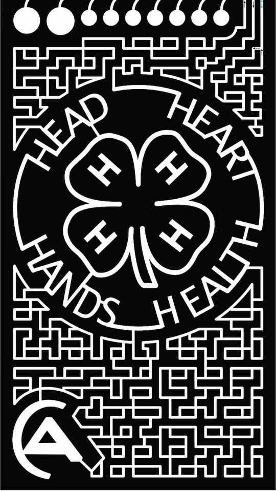 21_CO_Ignacio four leaf clover 4h