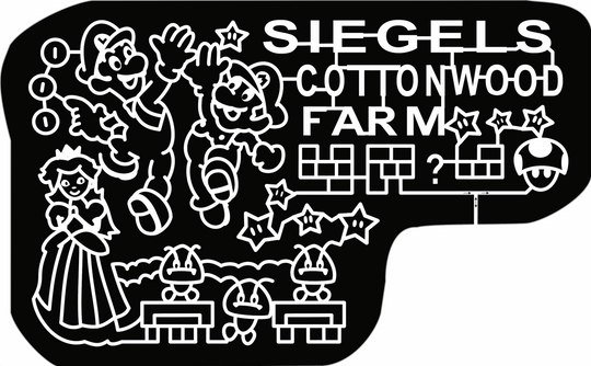 21_IL_CrestHill super mario brothers star mushroom game