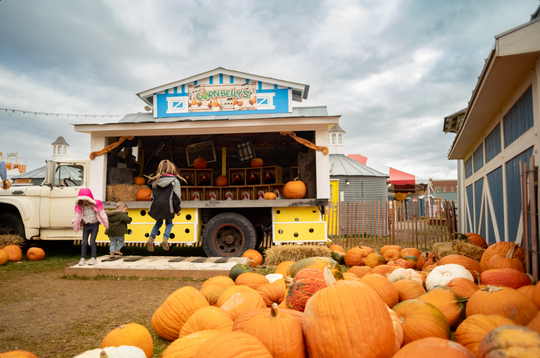 Chicken Piano_Kids_playing 2_RJ.jpg