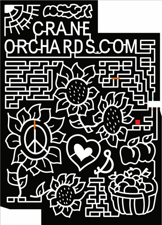 21_MI_Fennville sun cloud sunflower flower peace sign heart apple basket