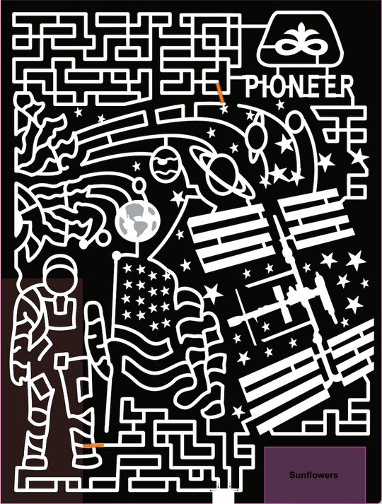 21_MN_EastGrandForks sun space solar system planet saturn astronaut american flag satellite pioneer logo