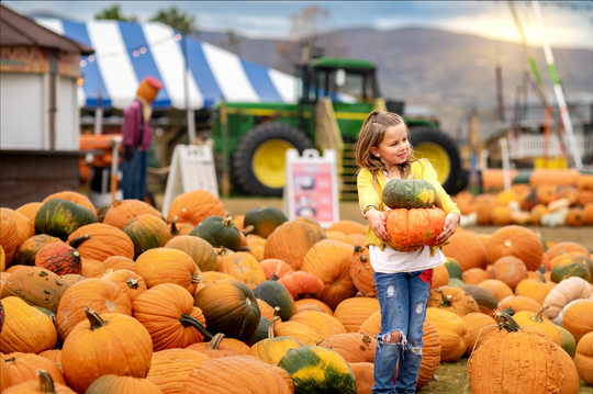 Pumpkin_Girl carrying pumpkins 1_RJ.jpg