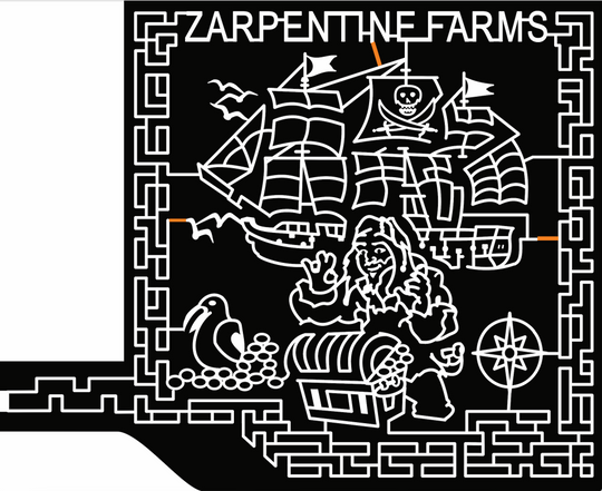 21_NY_Hilton pirate treasure chest ship flag compass coins parrot