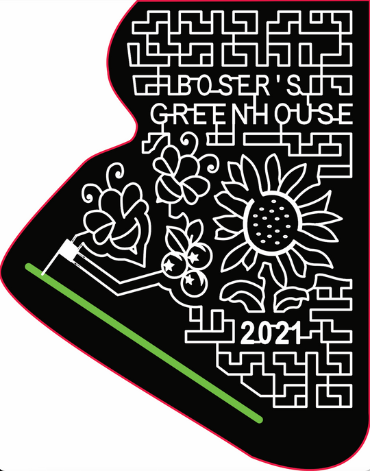 21_SAS_Walburg sunflower flower bee blueberry