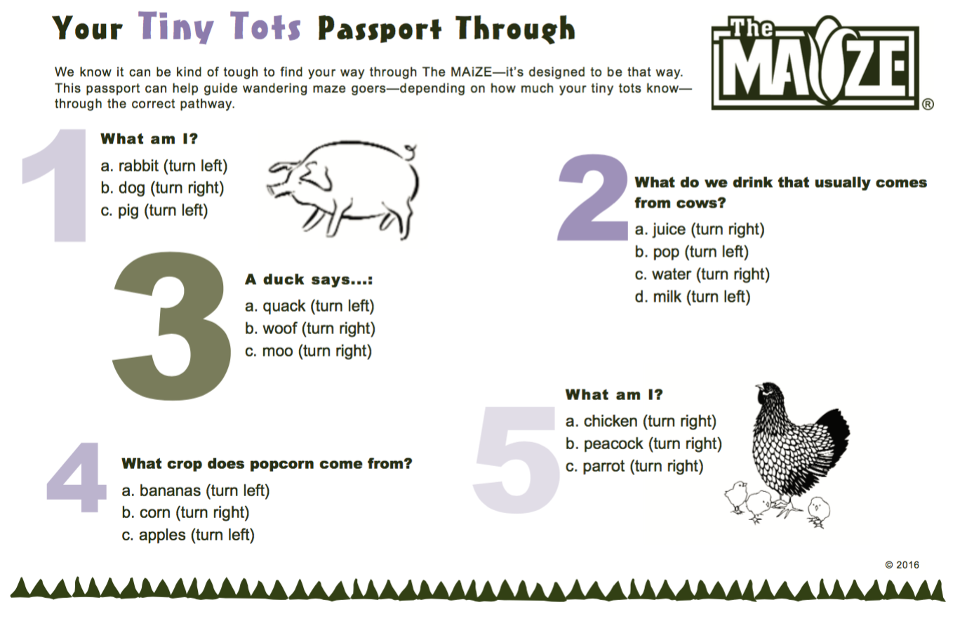 Passports - The MAiZE