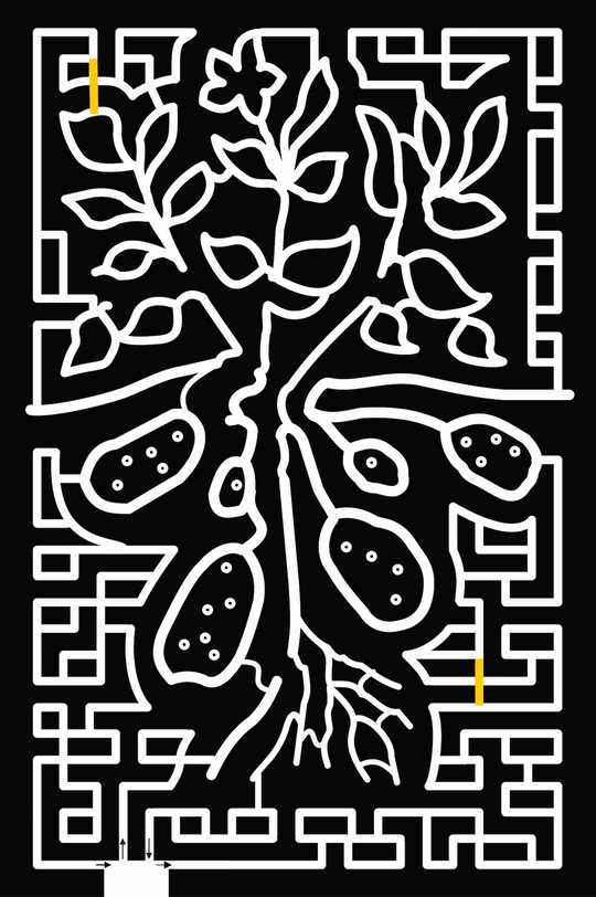 22_NY Bridgehampton plant, farm, potato, roots, food