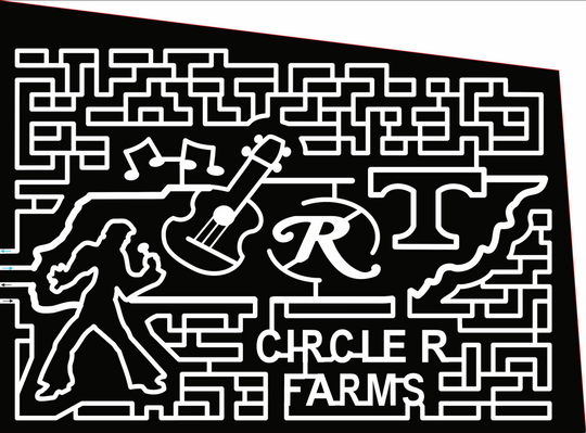 22_TN_Crossville elvis, Tennessee, music, state, guitar, logo