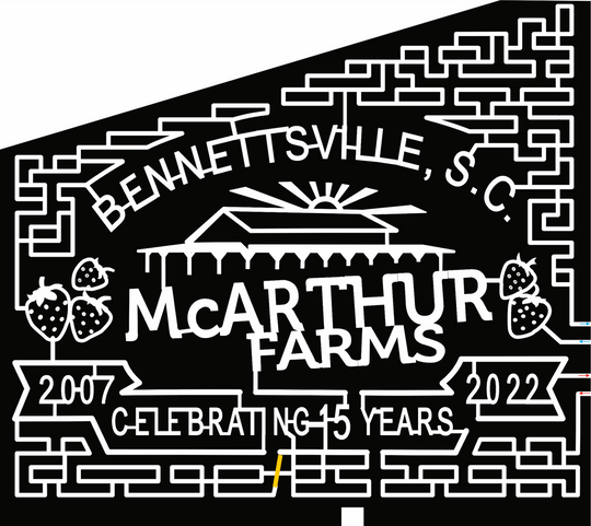 22_SC_Bennettsville farm, strawberry, 15 years, anniversary, building, barn, sun