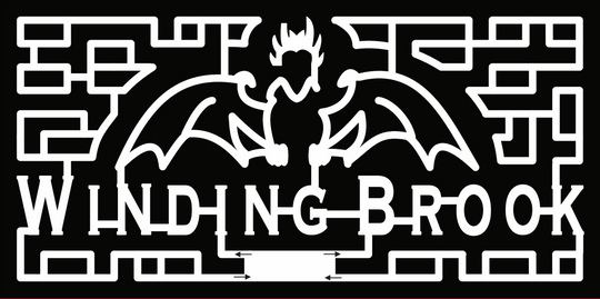 22_PA_Warrington dragon