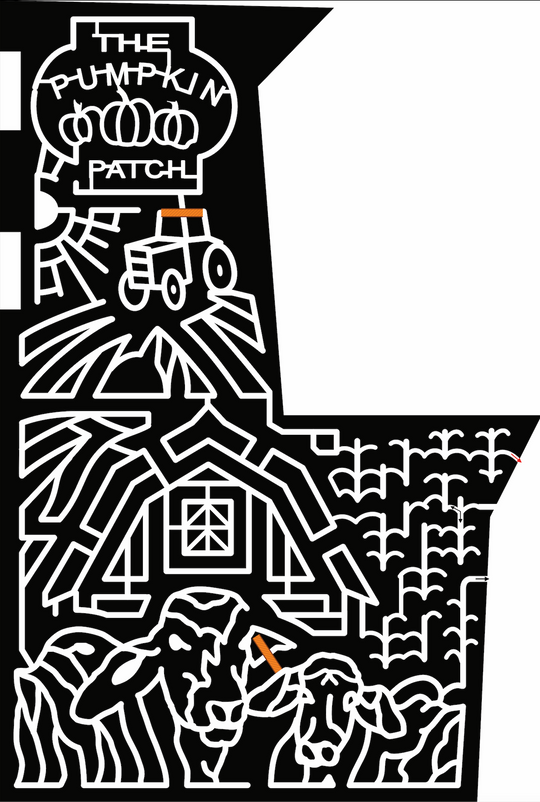 22_OR_Portland farm, barn, cows, brahman, tractor, sun, corn