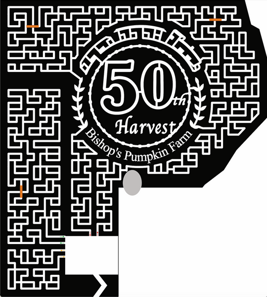 22_CA_Wheatland Paths 50th Harvest