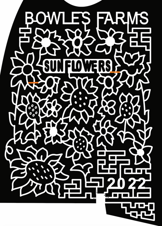 22_MD_Loveville Sunflowers