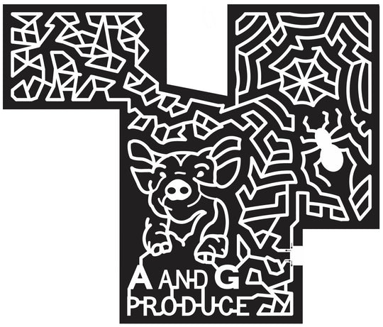 St. Joseph Minnesota MN 2013 Pig, Spider, spiderweb, Hog, Animal, Produce, insect, a and g, web.jpg