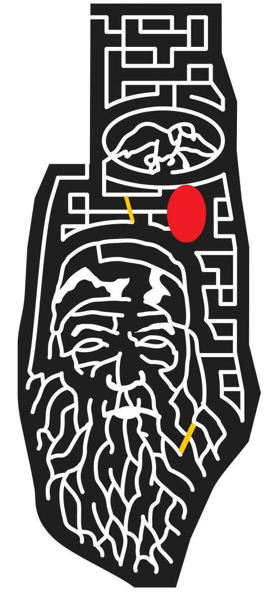 The Rock Georgia GA 2013 Duck, television, Animal, duck dynasty, famous, celebrity, bandana.jpg