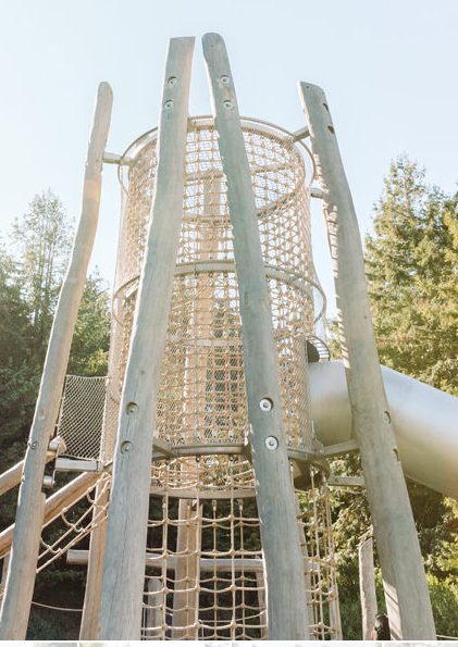 NetForm Round Chimney Climber