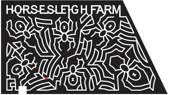 Washington New Jersey NJ 2013 Spider, spiderweb, web, Horse, sleigh, farm, Halloween, insects.jpg