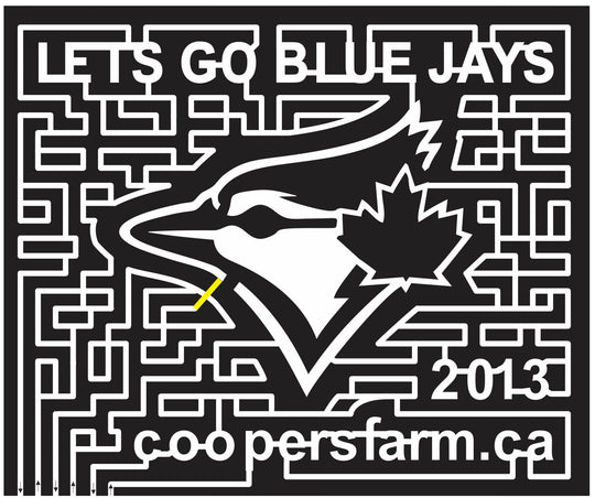 Zephyr Ontario ONT 2013 Canada, Bird, logo, Maple, Leaf, blue jay, 2013, Sports, sponsor, coopers.jpg