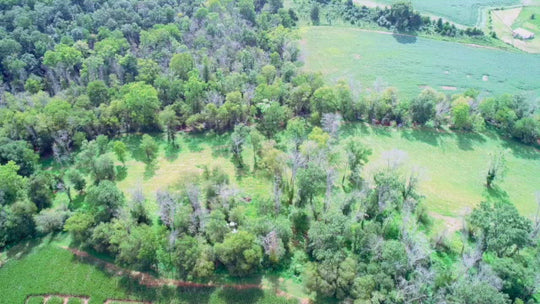 maze reveal slow aerial trees square paths drone