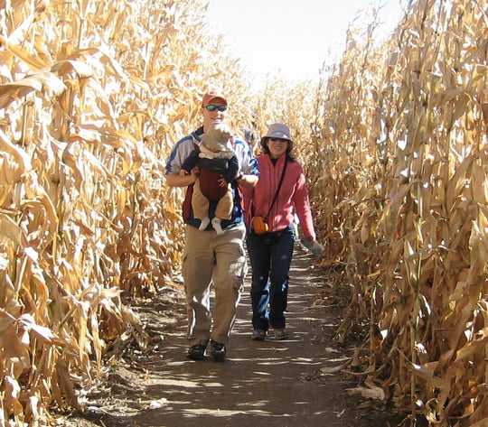 family in maze.jpg