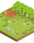 Campfire Main Demo