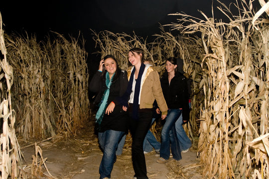 teens in corn maze 2.jpg
